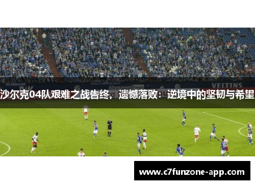 沙尔克04队艰难之战告终，遗憾落败：逆境中的坚韧与希望